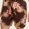 Scotch & Soda Short De Bain - Brown