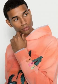 Scotch & Soda RELAXED PRINT AND EMBROIDERY WASHED FELPA HOODIE - Sweatshirt - Light Terra -Scotch & Soda Soldes 9026d917a09b49a6a9c746db711c7846