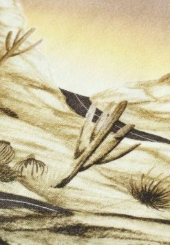 Scotch & Soda REGULAR-FIT - Sweatshirt - Combo A -Scotch & Soda Soldes 92e360108d2b41edac55dbd5bbff4087