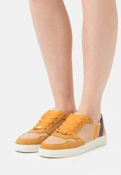 Scotch & Soda LAURITE - Baskets Basses - Braun