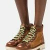 Scotch & Soda OLIVINE - Bottines à Lacets - Cognac/multicolor
